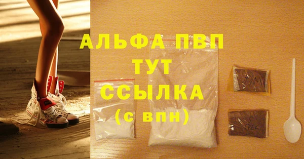 прущие грибы Козловка
